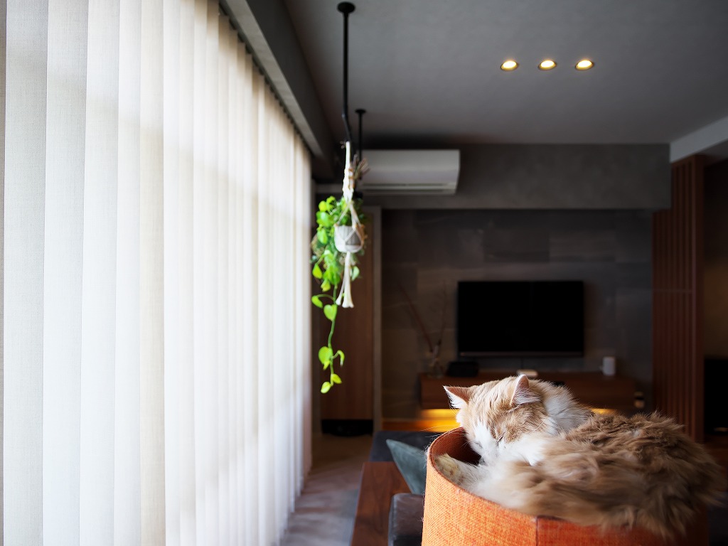 harunohi はるのひ　リフォーム＆インテリア