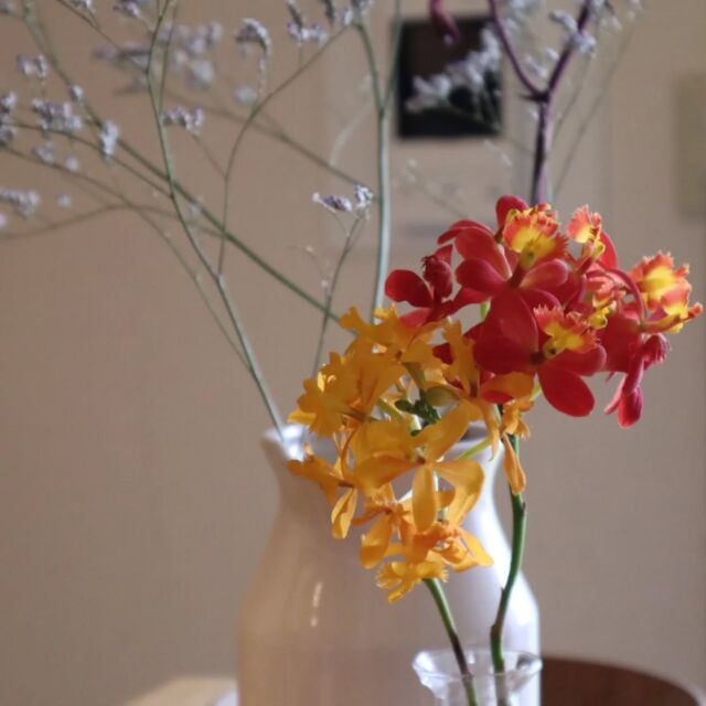 住まいに何があると元気になる？気分がいい？

私にとっては「花」です。

毎月お花をお願いしています！
@nonko1173 さん

住んでいるところからすぐ近くなので、
仕事や贈り物のときにもすごく助かります。

飾る花の高さや大きさ、　
種類
丈夫さ？によって
いつも４カ所に分けて飾っています。

飾るルールがあるとラクに場所が決まりますよ！

#花の飾り方
#花のある暮らし
#インテリアのコツ 
#インテリアを楽しむ 
#北摂インテリア